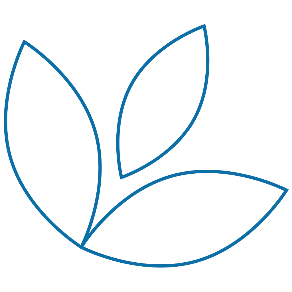 Fleur Audition Conseil XL-19